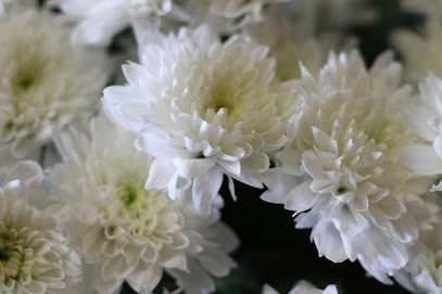 Marina & Marco Fiori, Fiorista a Torino