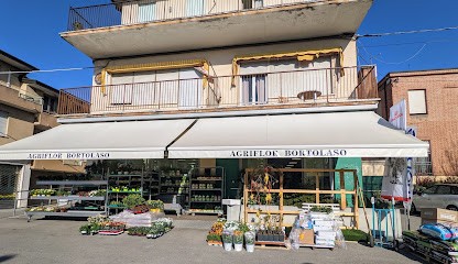 Agriflor Bortolaso, Fiorista a Padova