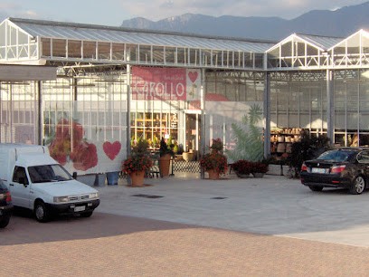 Carollo Fiori S.R.L., Fiorista a Zugliano