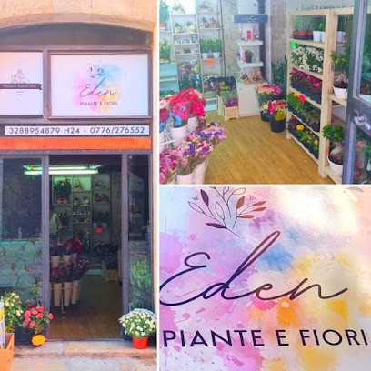 Eden Piante e Fiori, Fiorista a Arpino