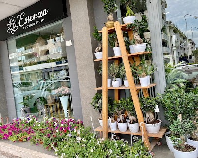 Essenza Flower Shop, Fiorista a Trentola Ducenta