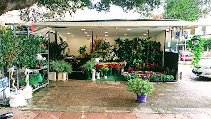 Ignazio Di Fiore Flower Designer, Fiorista a Palermo