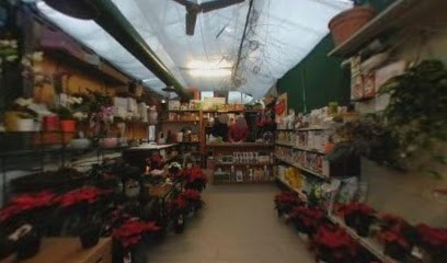 Verdissimo Gravedona, Fiorista a Gravedona ed Uniti