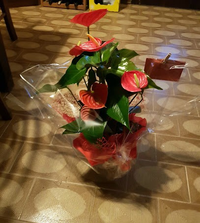 Casagrande Ezia, Fiorista a Refrontolo