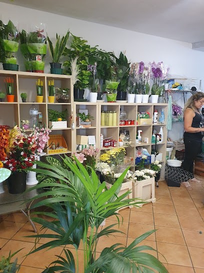 Fiori E Piante - Flower Design By Ferrara, Fiorista a San Cipriano Picentino