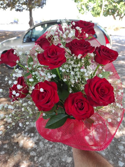 Spampinato Fiori, Fiorista a Siracusa