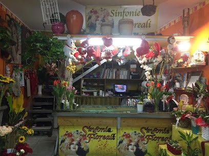 Fiori E Piante Sinfonia Floreale Dei Fratelli Platania, Fiorista a Enna