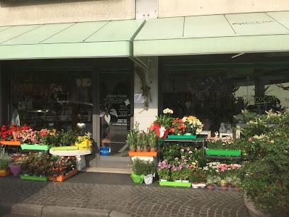 Fioreria Cocox Di Nadin Paola, Fiorista a Roveredo in Piano