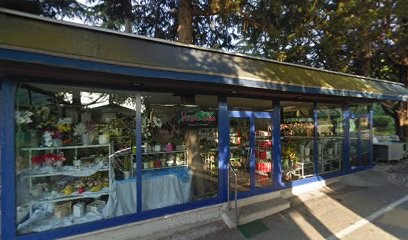 Verde Idea Di Di Damiano Patrizia, Fiorista a Teramo