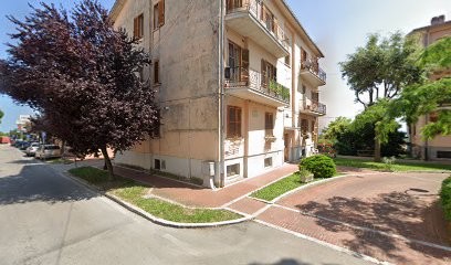 Pollice Verde Piante E Fiori Di Castagna Sabrina, Fiorista a Atri