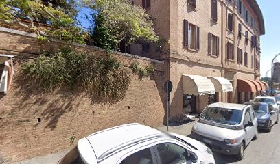 Only Art S.r.l.s, Fiorista a Siena