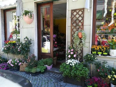 Daniela Fiori Di Roccatti Daniela, Fiorista a Gassino Torinese