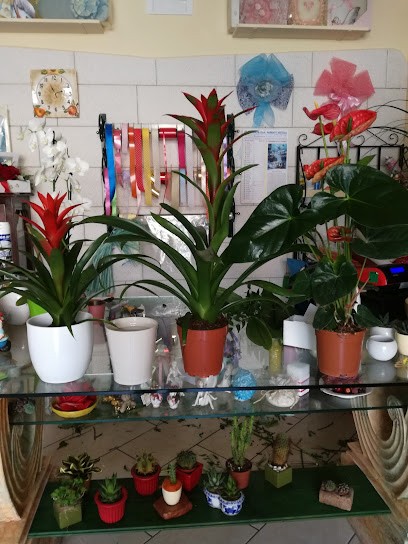 Fioraio L'Orchidea di Ragno Annamaria, Fiorista a Trinitapoli