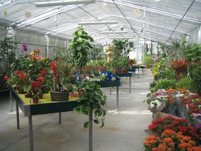 Bajardo Garden Verde Idea, Fiorista a Berbenno di Valtellina