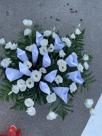 La Mimosa, Fiorista a Castellammare di Stabia