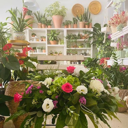 Il Pozzo Non Solo Fiori Di Fiocco Alessia, Fiorista a Capo d'Orlando