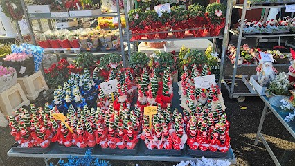 Fiorista Garofalo, Fiorista a Modena