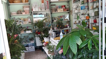 Idea Verde Di Pigliapoco Serena, Fiorista a Cingoli