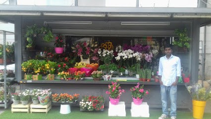 Fiorista Alí, Fiorista a Varese