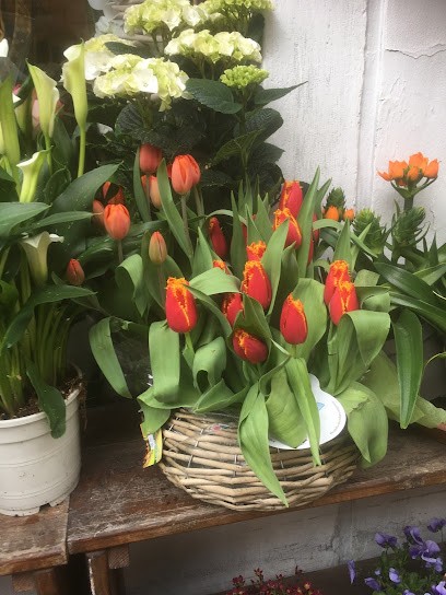 Punto Verde Di Vidoni Gina, Fiorista a Tolmezzo