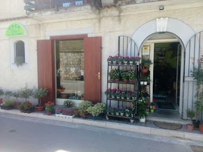 EDEN FIORI di Viceconti Cristina, Fiorista a Nemoli