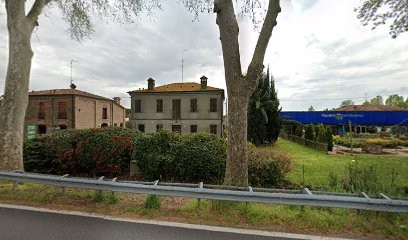 Floricoltura Marzola, Fiorista a Ferrara