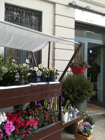 Fiorilu' Saronno, Fiorista a Saronno