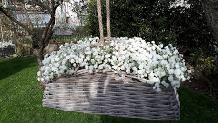 Pensieri In Fiore - Piante, Addobbi E Creazioni Floreali, Fiorista a Rieti