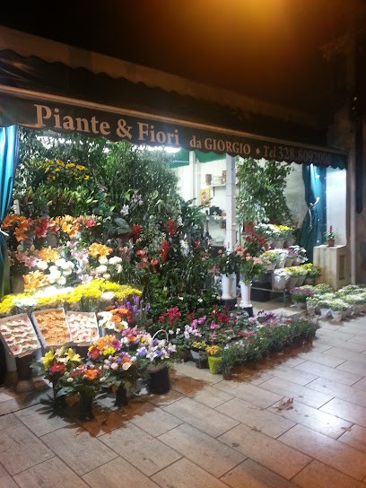 Piante & Fiori Da Giorgio, Fiorista a Guidonia Montecelio