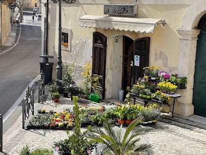 La Floreale di Leone Domenica, Fiorista a San Donato Val di Comino