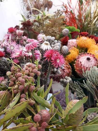 Fioreria Liolà, Fiorista a Casalmaggiore