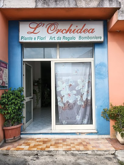 L' Orchidea, Fiorista a Minervino di Lecce