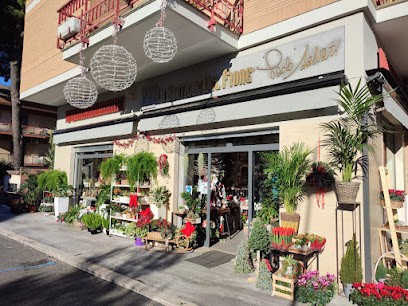 La Boutique Del Fiore, Fiorista a Grottaferrata