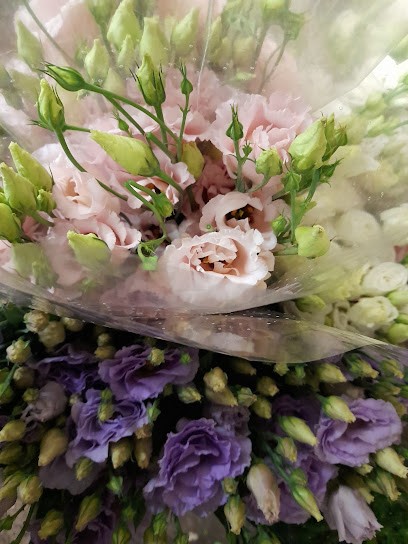 Ingrosso Fiori Fabio Astone, Fiorista a Sarzana