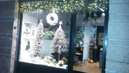 Nonsolorose Laboratorio Di Arte Floreale - Consegne A Domicilio, Fiorista a Roma