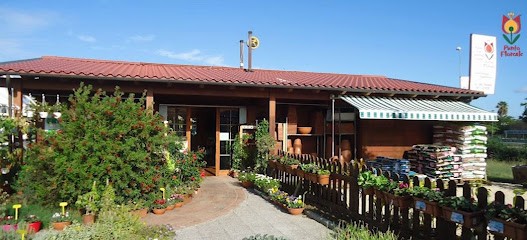 Punto Floreale, Fiorista a San Giovanni Teatino