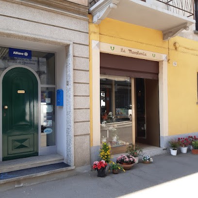 La Margherita Di Massarotti Ursola, Fiorista a Ghemme