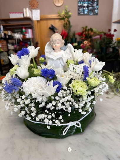 Pianeta Verde, Fiorista a Nola