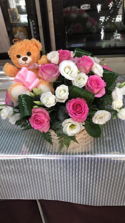 Fiori E Piante, Fiorista a San Donato Milanese