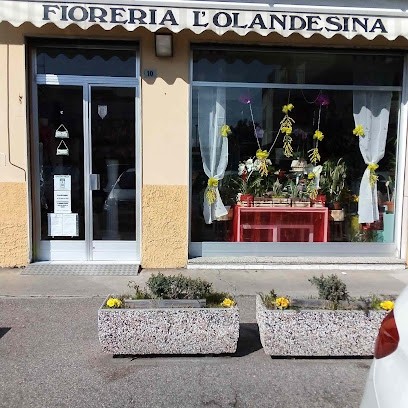 Fioreria L'Olandesina Monselice Pd di Zanetti Flavio, Fiorista a Monselice