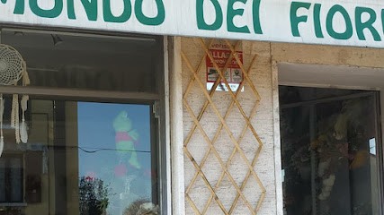 Il Mondo Dei Fiori, Fiorista a San Martino Siccomario