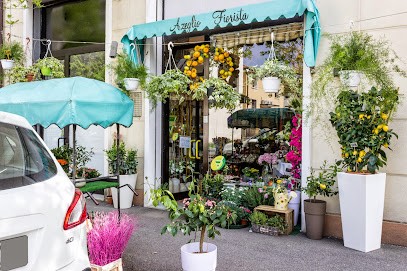 I Fiori Di Anna E Azeglio, Fiorista a Treviso