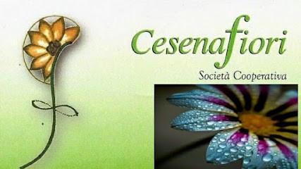 Cesenafiori Societa' Cooperativa, Fiorista a Cesena