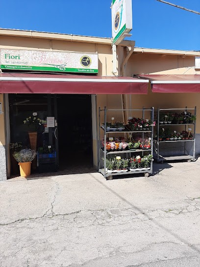 Florence Fiori, Fiorista a Gaeta