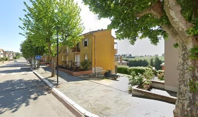 L'Angolo Del Fiore Di Pettorossi Martina, Fiorista a Montecastrilli