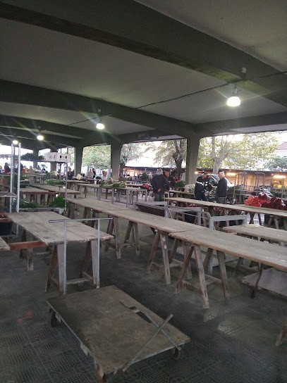 Chiosco Fiore Arte Di Mazzardis Claudia, Fiorista a Cassano Magnago