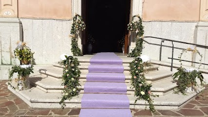 Ikebana Di Daniele Sergio, Fiorista a Taurasi