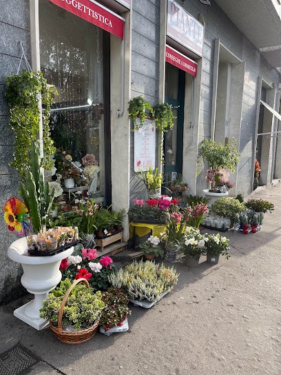 La Rosa Blu Di Cerasela Fiori, Fiorista a Torino