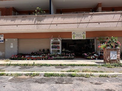 Mirabella Fiori E Piante, Fiorista a Roma
