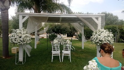 Fiori D'Argento, Fiorista a Fasano